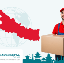 Choosing the Right Cargo Partner in Nepal, Why Businesses Trust Cargo Nepal Pvt Ltd